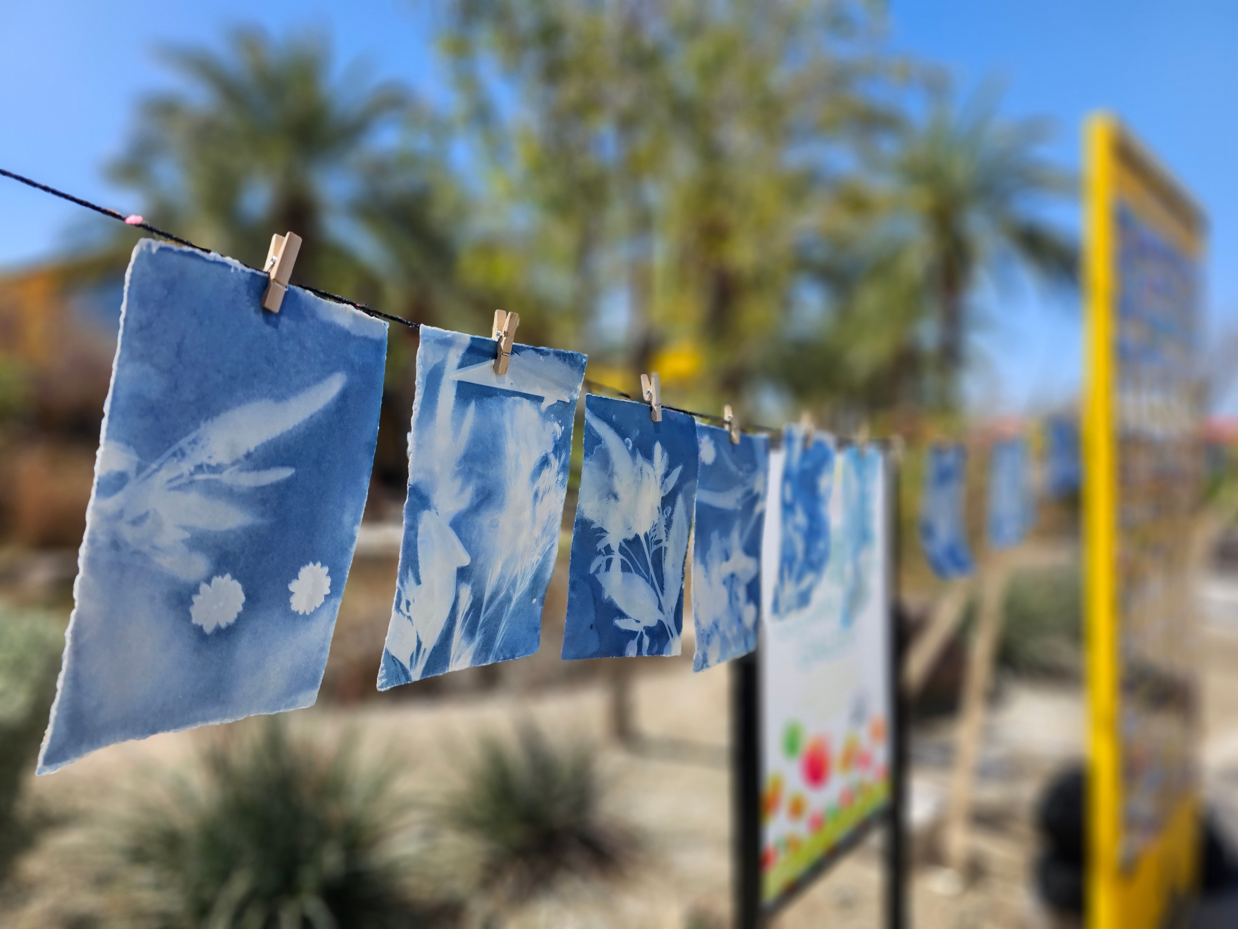 Cyanotype sun prints hanging on line to dry